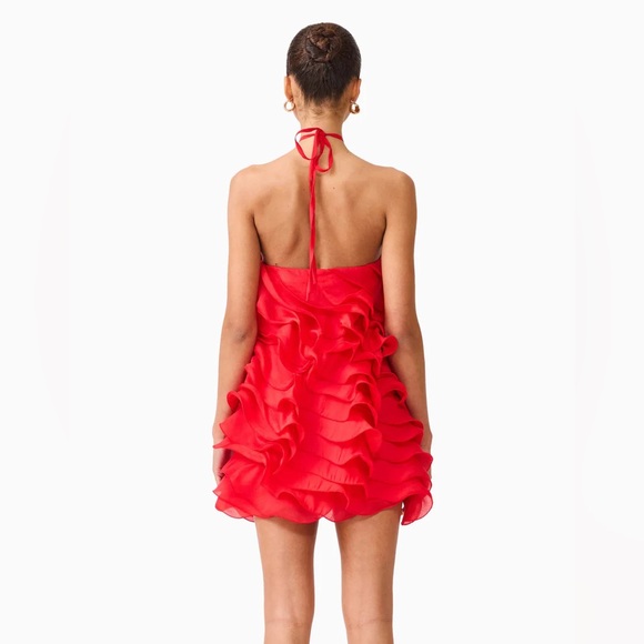 Red Ruffle Mini Dress - Picture 2 of 4